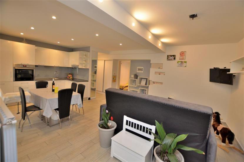 Butterfly Apartment